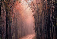 世界杯投注app -智(zhì)橋(qiáo)電(diàn)器取得一種(zhǒng)面框专利(lì)，解(jiě)决現(xiàn)有面框中各(gè)个梁之间不(bù)可拆卸的技术问题