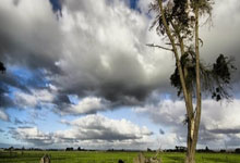 世界杯买球app下载 -埔弗(fú)瞬精(jīng)密取得用于面盖框的多轴摆臂自动攻(gōng)牙装置专利，生(shēng)产效率高